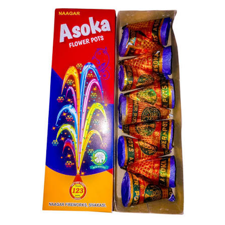 FLOWER POTS ASHOKA